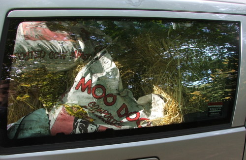Car with Moo Doo (c) Katrien Vander Straeten