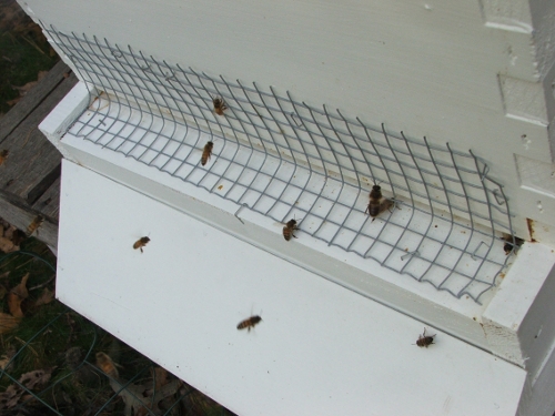 Bee Hive Sliding Mouse Guards Reisetore Imkereiausrüstung Praktisch 