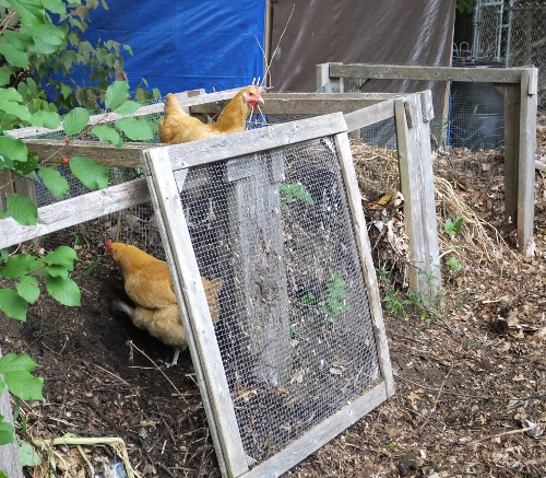 They found the compost bins!